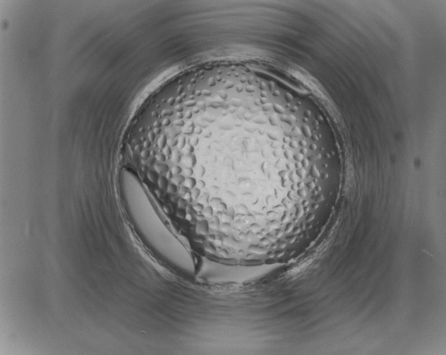 X0000080130850200701051417