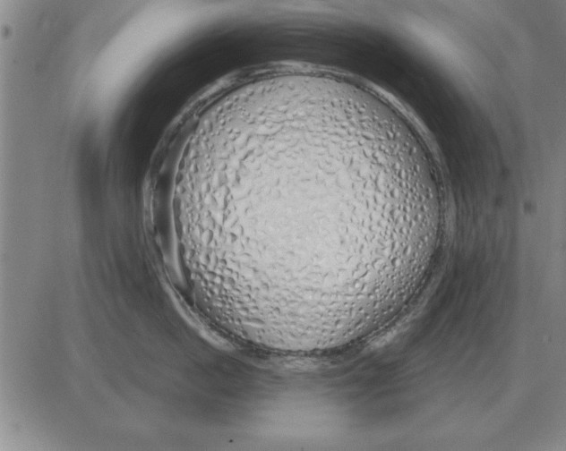 X0000080130862200701051417