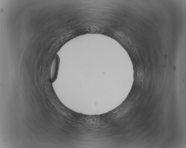 X0000080130865200701051417