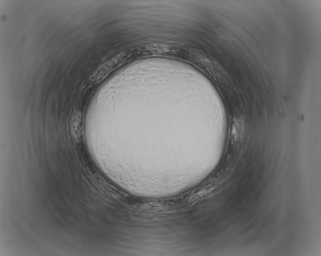 X0000080130867200701051417