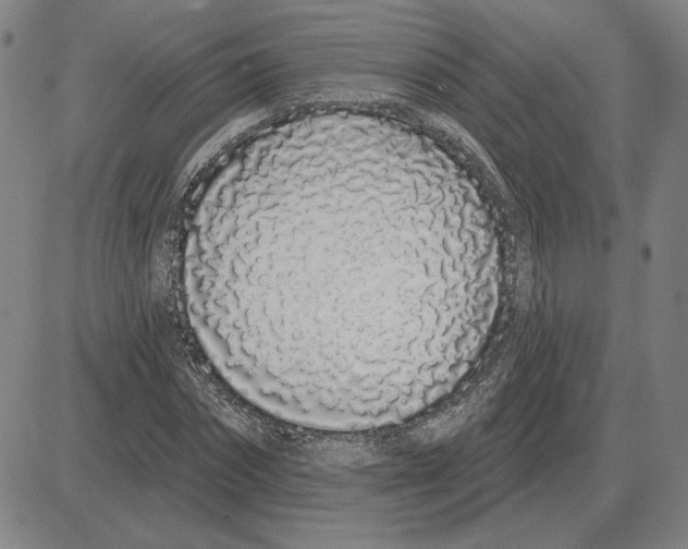 X0000080130874200701051417