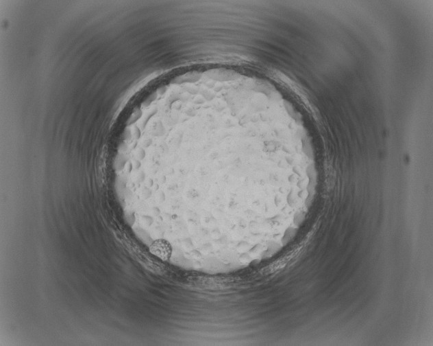 X0000080130875200701051417