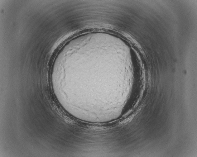 X0000080130877200701051417