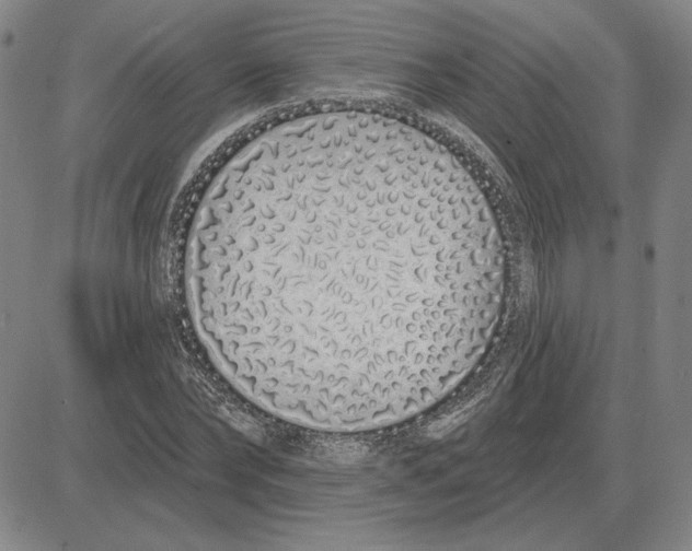 X0000080130878200701051417