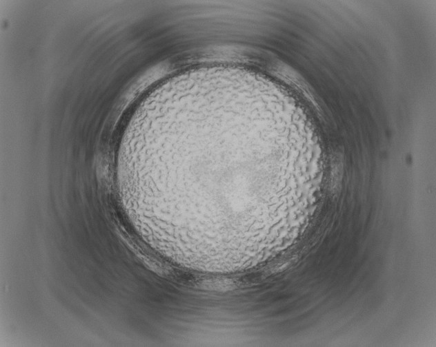 X0000080130882200701051416