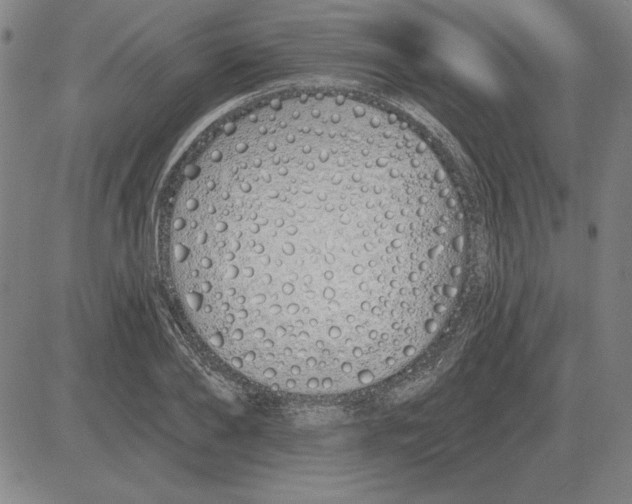 X0000080130886200701051416
