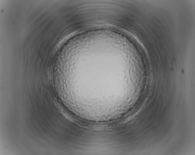 X0000080130889200701051416