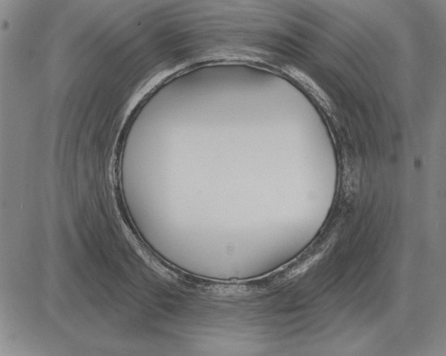 X0000080130893200701051416