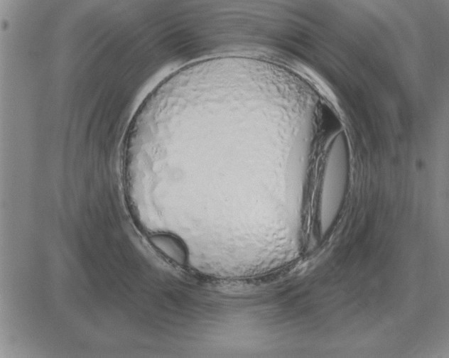 X0000080130907200701051416