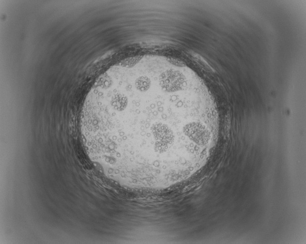 X0000080130917200701051415
