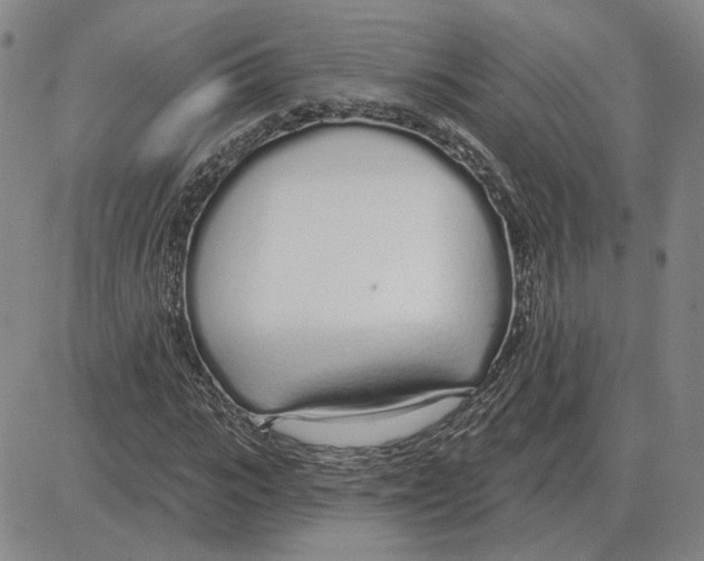 X0000080130919200701051415