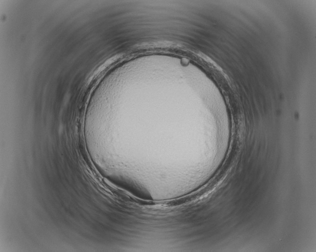 X0000080130921200701051415