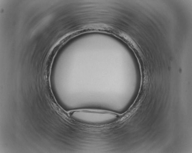 X0000080130923200701051415
