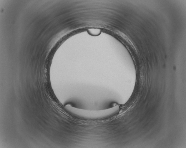 X0000080130926200701051415