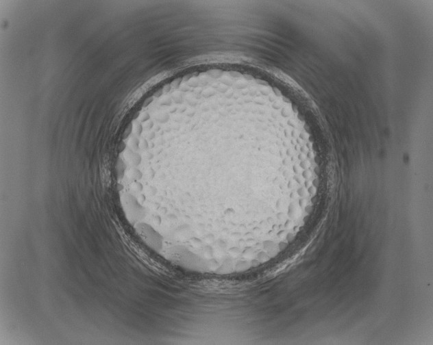 X0000080130929200701051415