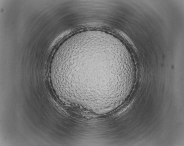 X0000080130930200701051415