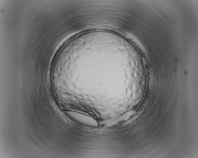 X0000080130932200701051416