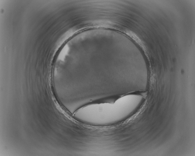 X0000080130941200701051416