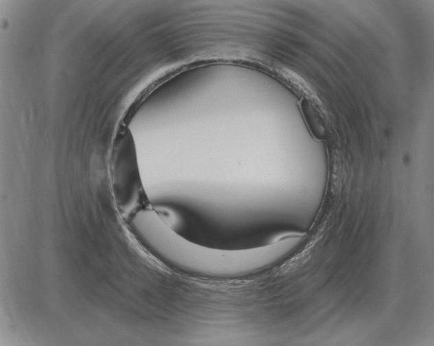 X0000080130942200701051416