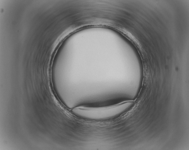 X0000080130943200701051416
