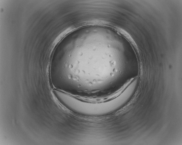 X0000080130946200701051416