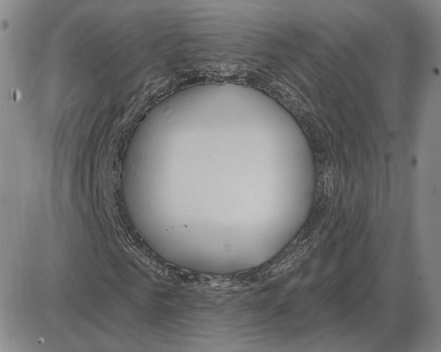 X0000080130961200701051415