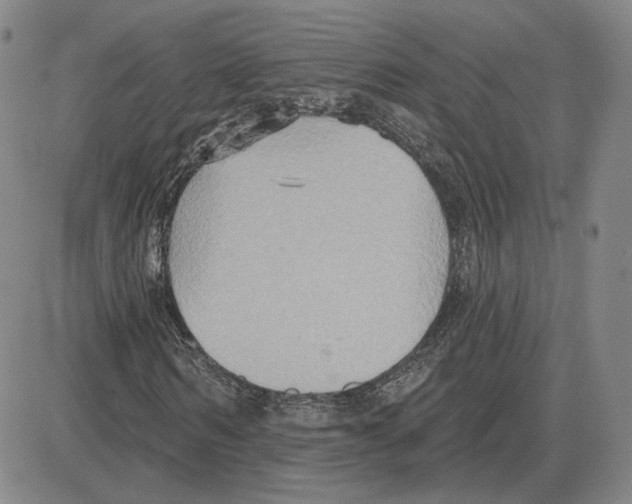 X0000080130962200701051415