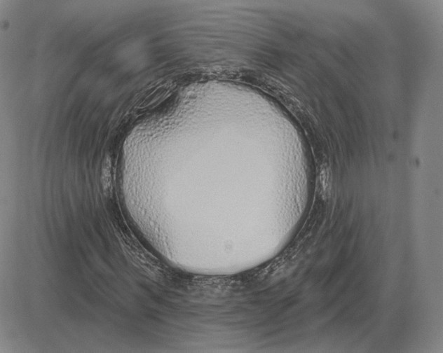 X0000080130963200701051415