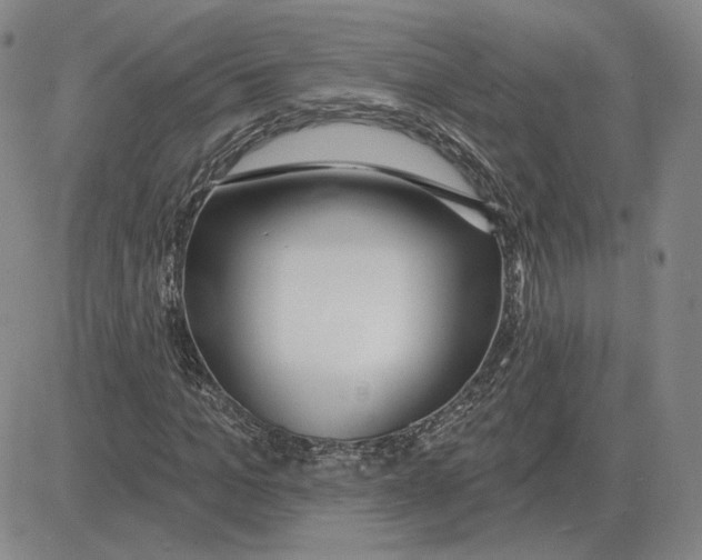 X0000080130965200701051415