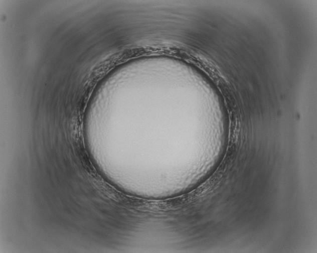 X0000080130966200701051415