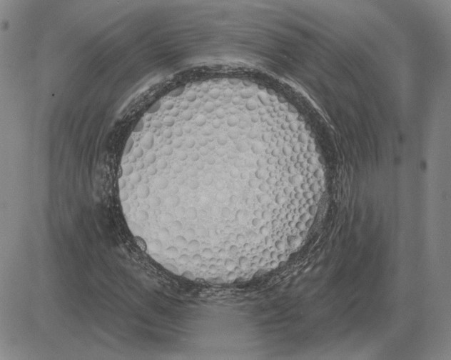 X0000080130967200701051415
