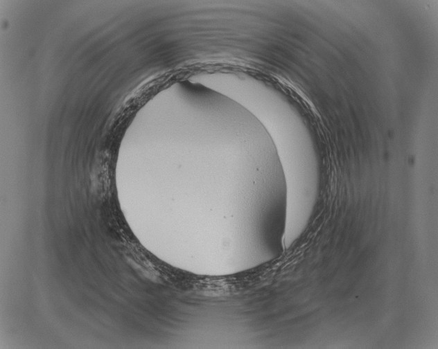 X0000080130968200701051415