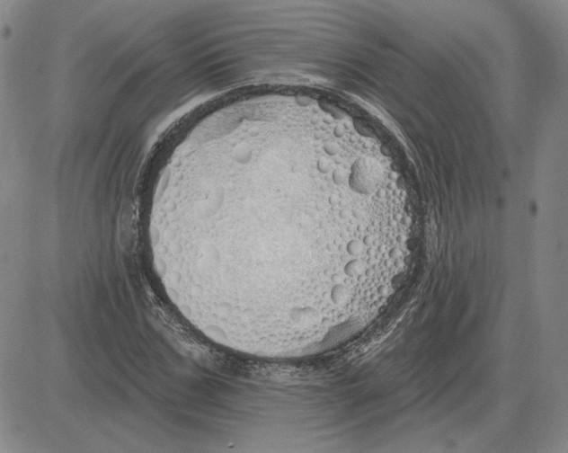X0000080130971200701051415