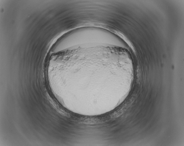 X0000080130972200701051415