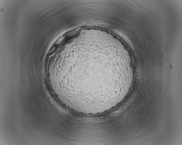X0000080130976200701051415