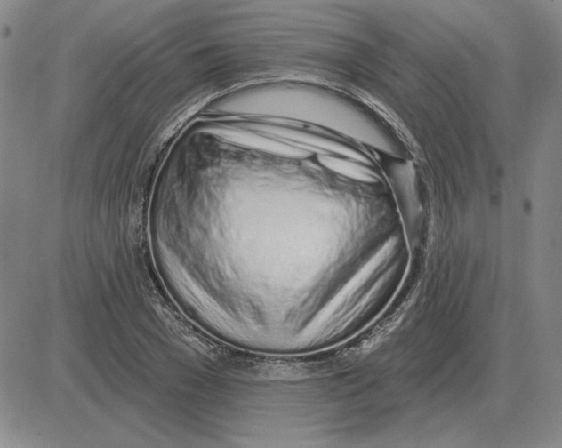 X0000080130977200701051415