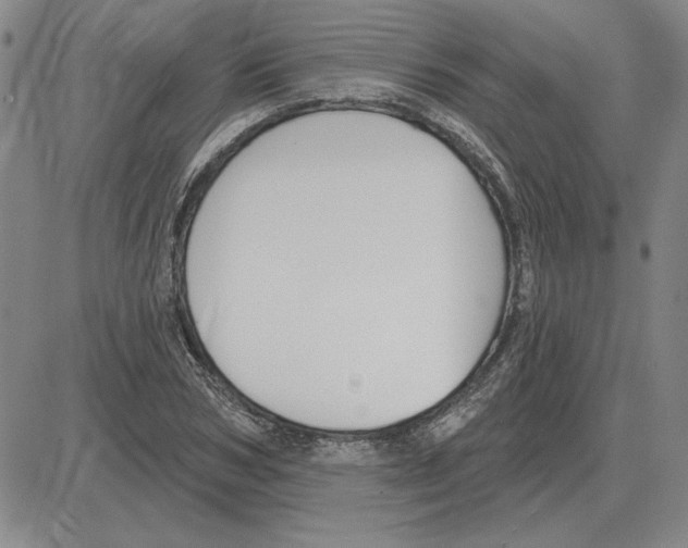 X0000080130978200701051415
