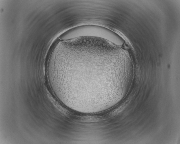 X0000080130980200701051415