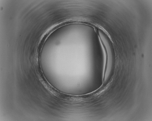 X0000080130981200701051415