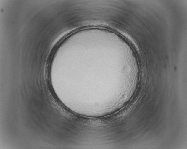 X0000080130983200701051415