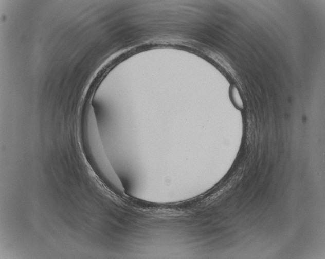 X0000080130984200701051415