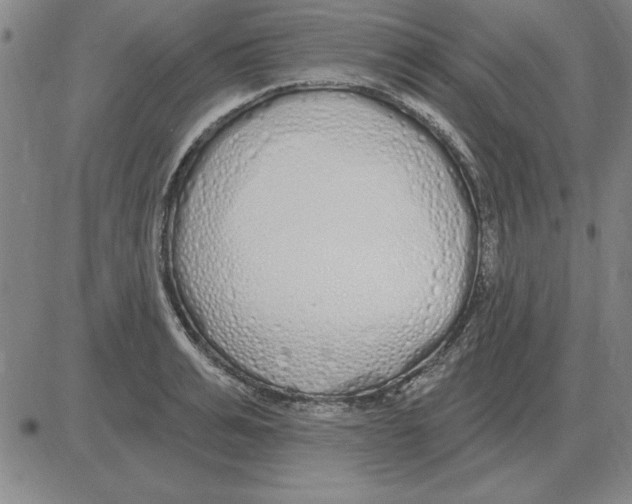 X0000080130991200701051415
