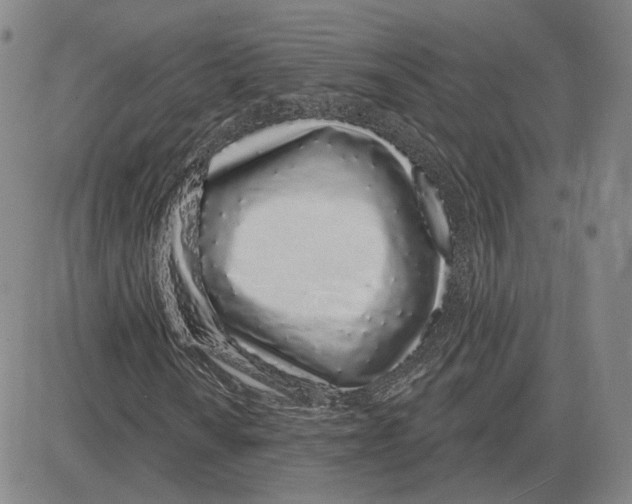 X0000080131010200701051414