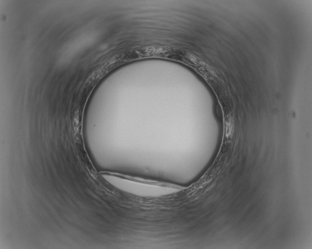 X0000080131011200701051414