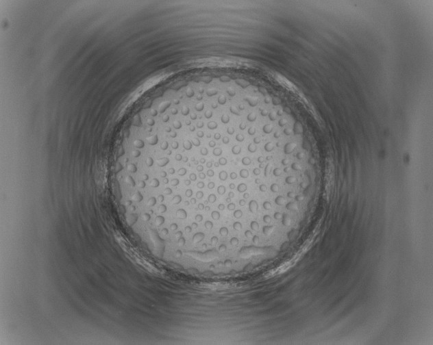X0000080131017200701051414