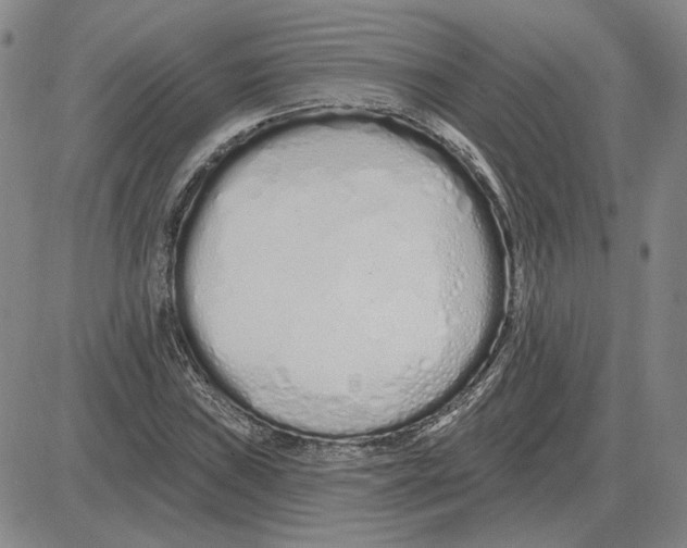 X0000080131019200701051414