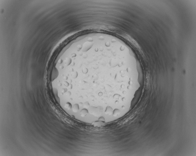 X0000080131020200701051414