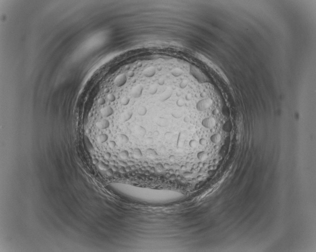 X0000080131021200701051414