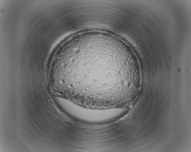 X0000080131022200701051414