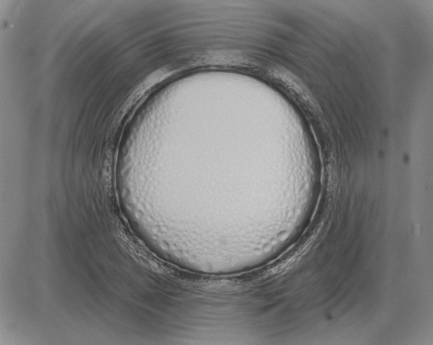 X0000080131025200701051414